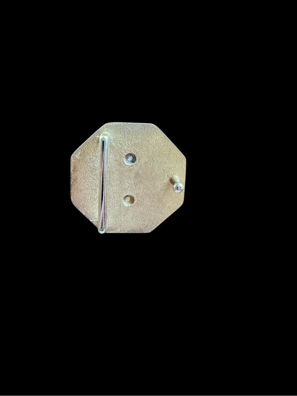 Gold Medusa Octagonal Statement Belt Buckle